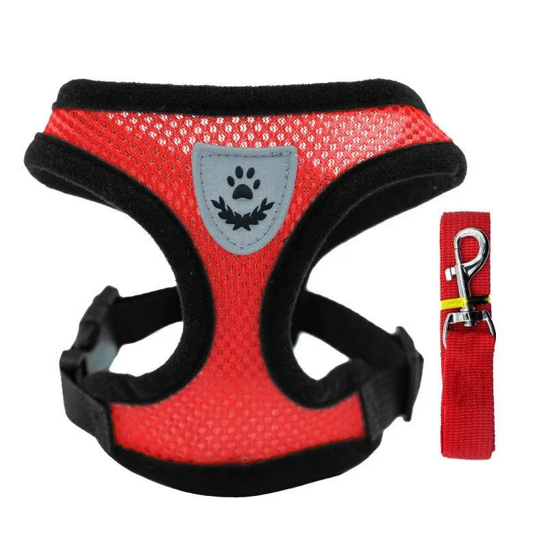 Breathable Mesh Harness and Leash Set for Small Dogs and Cats - Ideal for French Bulldogs, Chihuahuas, Pugs, and Kittens - Home Fads