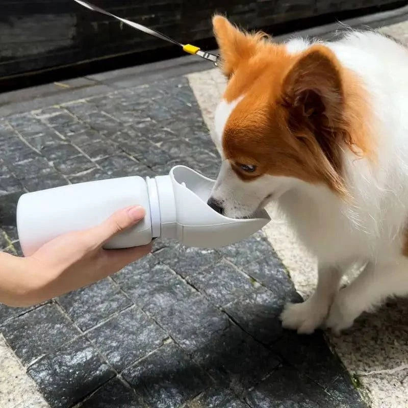 Compact Pet Hydration Solution: Collapsible Water Bottle for Dogs and Cats - 550ml Outdoor Walking Companion - Home Fads