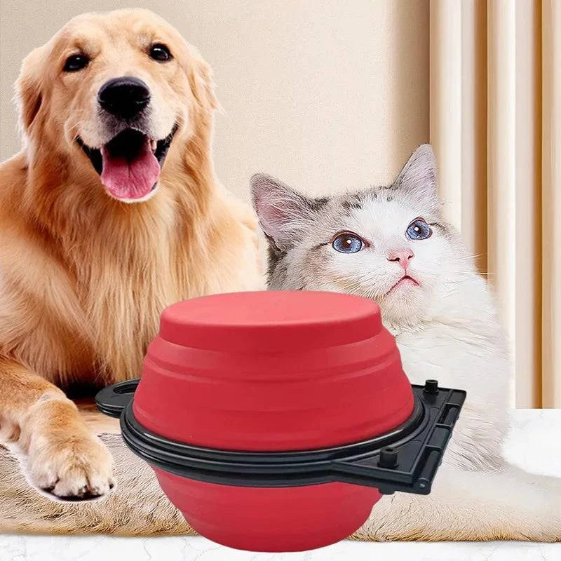 Foldable, Collapsible, Portable Dual-Function Pet Bowl for Dogs and Cats: Compact Solution for Feeding and Hydration on the Go - Home Fads