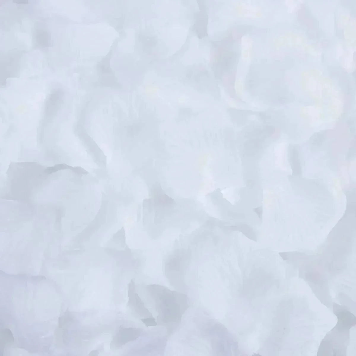 45103243133082|45103243165850|45103243231386|45103244116122|45103244148890