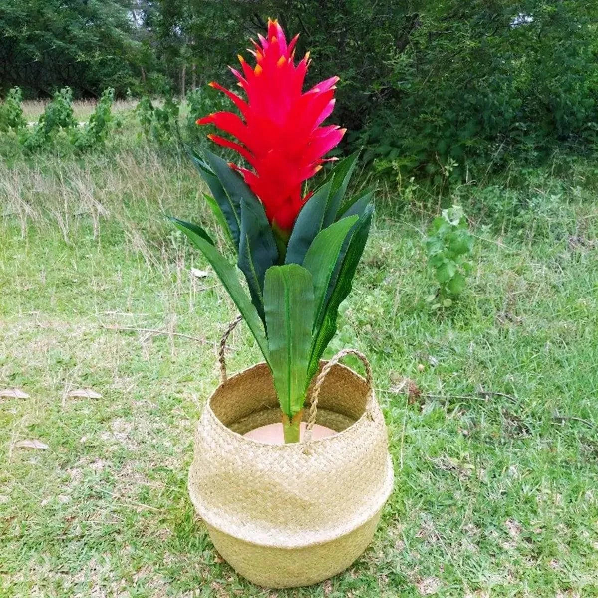 Handcrafted Natural Basket & Plant Pot Cover: Decorative Storage for Home | Multipurpose Organizer | Available in 7 Sizes - Home Fads