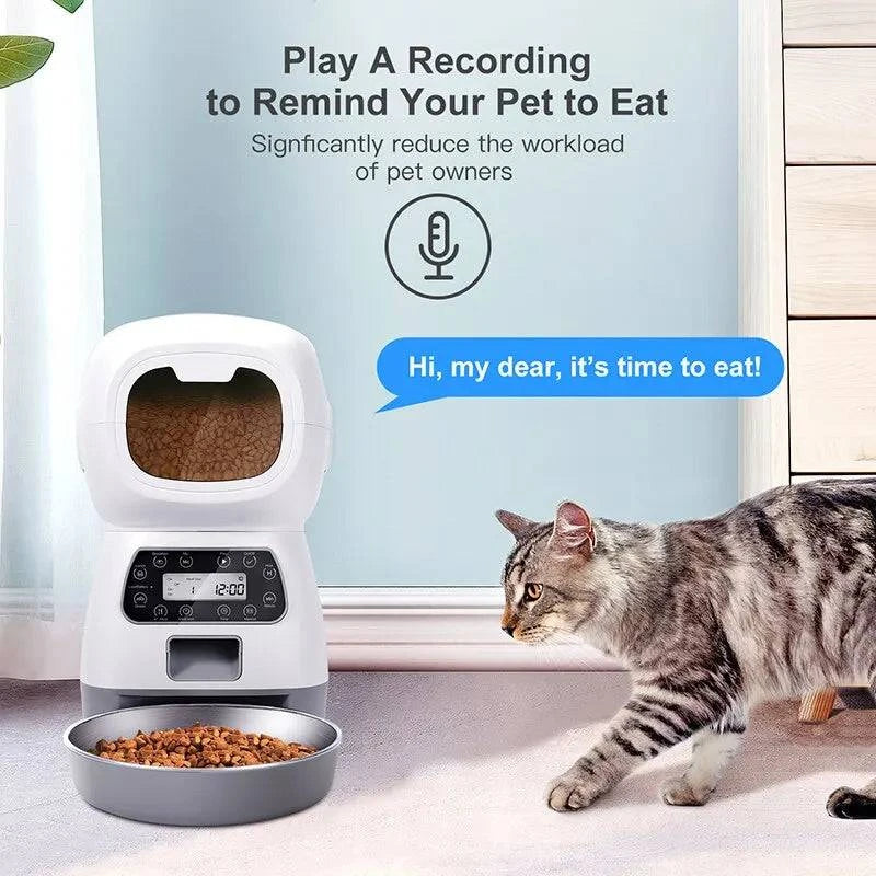 Smart Automatic Pet Feeder: Remote Control, LCD Display, Chargeable, Max 100g Dispensing (Key, WIFI, USB Options) - Home Fads