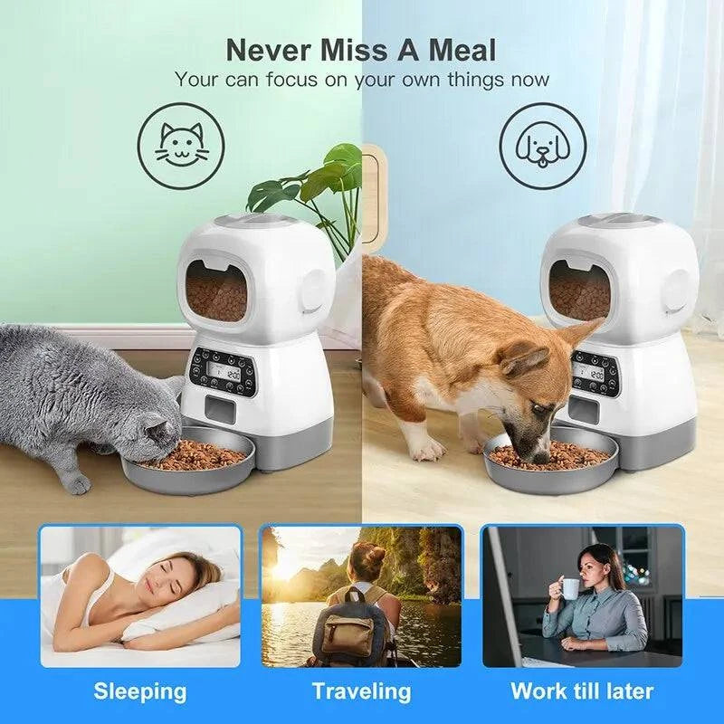 Smart Automatic Pet Feeder: Remote Control, LCD Display, Chargeable, Max 100g Dispensing (Key, WIFI, USB Options) - Home Fads