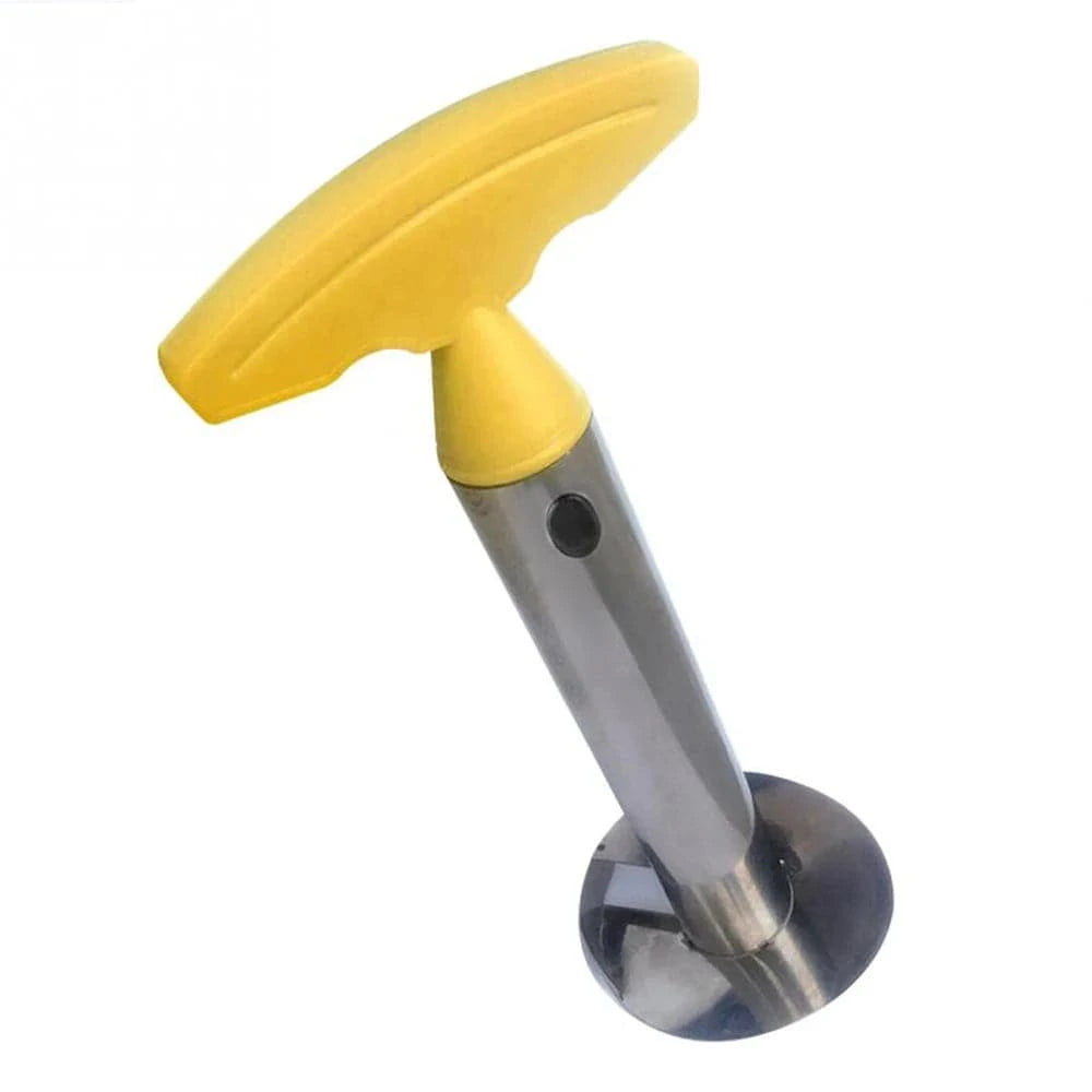 Stainless Steel Pineapple Slicer Peeler Cutter - Kitchen Fruit Tool - Home Fads