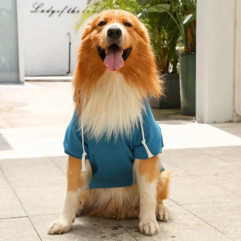 Stylish Autumn Winter Dog Sweater Hoodie with Zippered Pocket - Solid Color Apparel for Dogs of All Sizes - Home Fads
