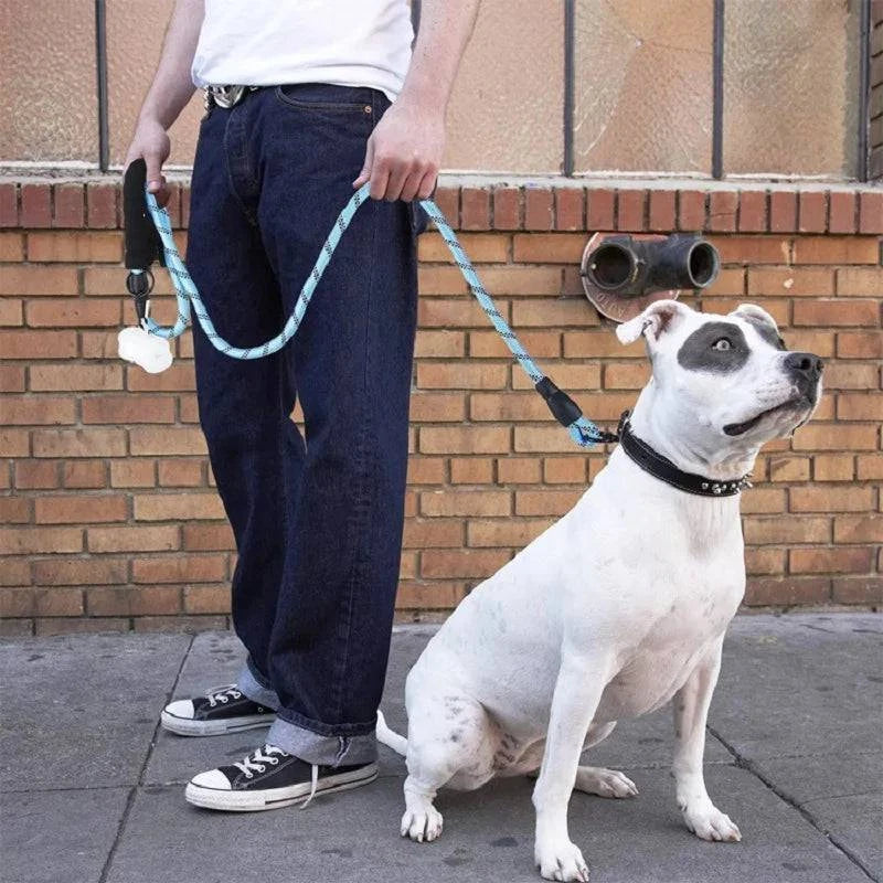 Stylish and Safe Dog Leashes with Soft Handle - Reinforced, quick release, and reflective Nylon Leash for Small, Medium, and Large Dogs - Home Fads