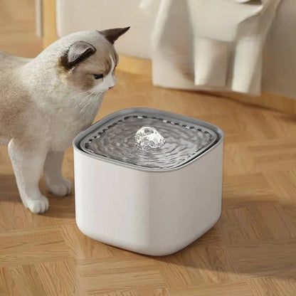 Automatic 3L Pet Water Fountain – Ultra-Quiet USB Powered Drinking Dispenser with Recirculating Filter - Home Fads 