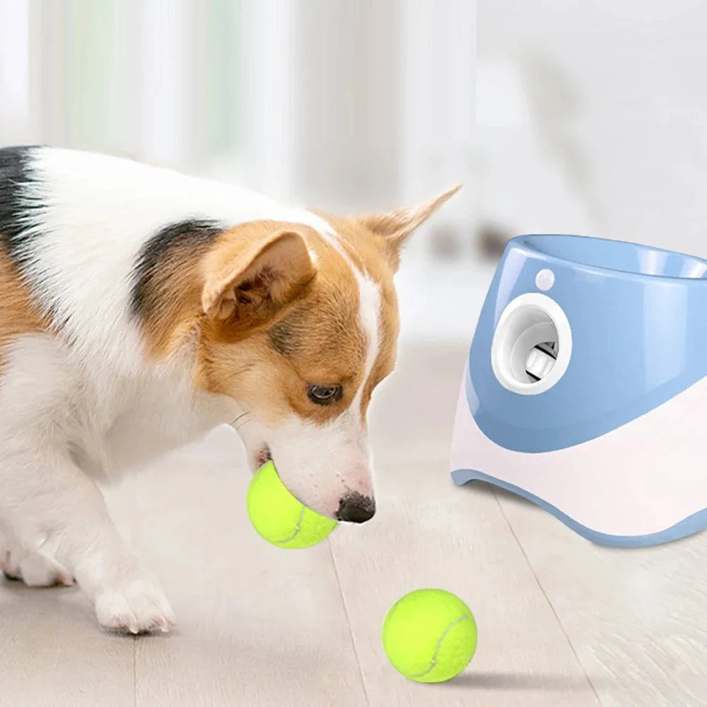 Automatic Tennis Ball Launcher: Interactive Dog Training Toy - Home Fads 