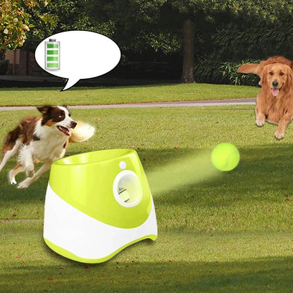 Automatic Tennis Ball Launcher: Interactive Dog Training Toy - Home Fads 