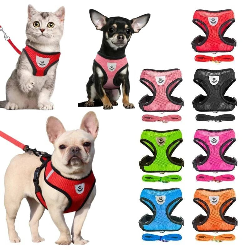 Breathable Mesh Harness and Leash Set for Small Dogs and Cats - Ideal for French Bulldogs, Chihuahuas, Pugs, and Kittens - Home Fads 