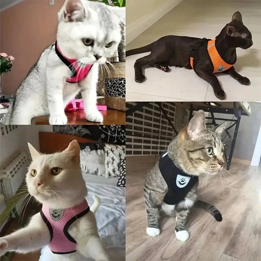 Breathable Mesh Harness and Leash Set for Small Dogs and Cats - Ideal for French Bulldogs, Chihuahuas, Pugs, and Kittens - Home Fads 