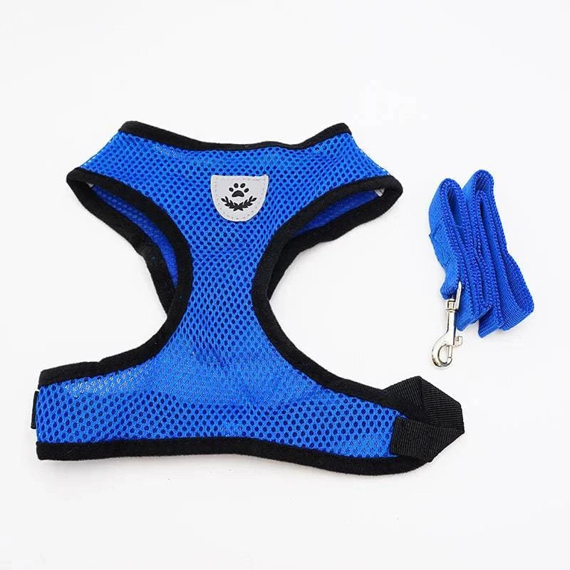 Breathable Mesh Harness and Leash Set for Small Dogs and Cats - Ideal for French Bulldogs, Chihuahuas, Pugs, and Kittens - Home Fads 