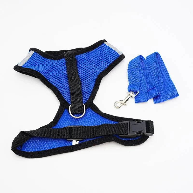 Breathable Mesh Harness and Leash Set for Small Dogs and Cats - Ideal for French Bulldogs, Chihuahuas, Pugs, and Kittens - Home Fads 