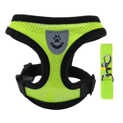 Breathable Mesh Harness and Leash Set for Small Dogs and Cats - Ideal for French Bulldogs, Chihuahuas, Pugs, and Kittens - Home Fads 