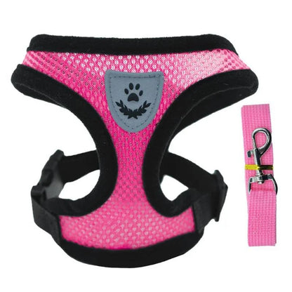 Breathable Mesh Harness and Leash Set for Small Dogs and Cats - Ideal for French Bulldogs, Chihuahuas, Pugs, and Kittens - Home Fads 