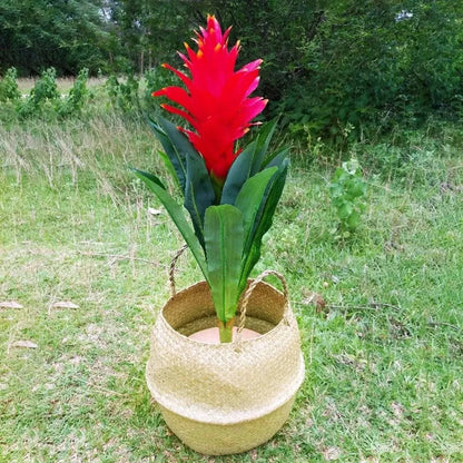 Handcrafted Natural Basket & Plant Pot Cover: Decorative Storage for Home | Multipurpose Organizer | Available in 7 Sizes - Home Fads 