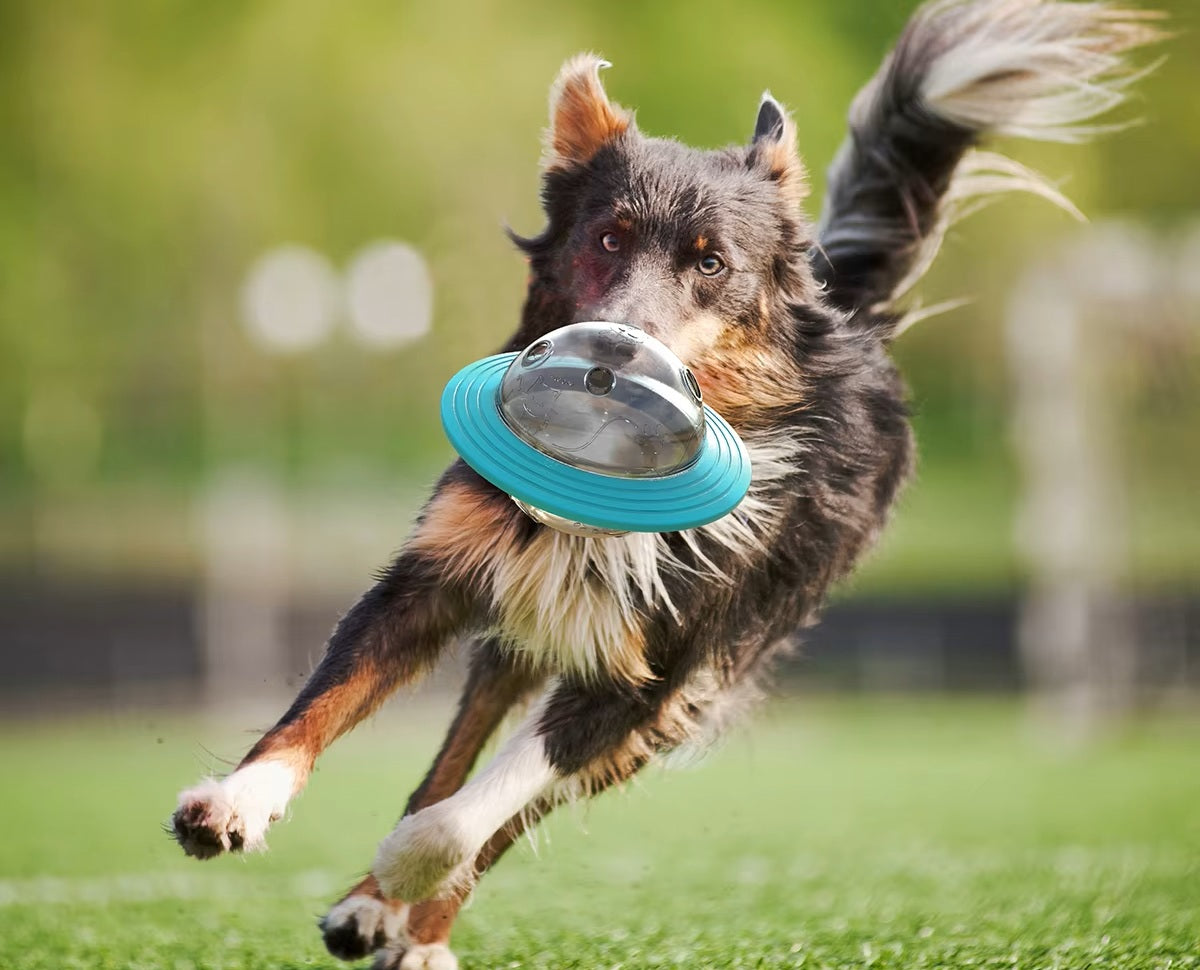 Interactive Dog Treat Dispenser – Food-Dispensing Slow Feeder Ball for Training, Playing, and Healthy Eating in Small to Large Dogs - Home Fads 