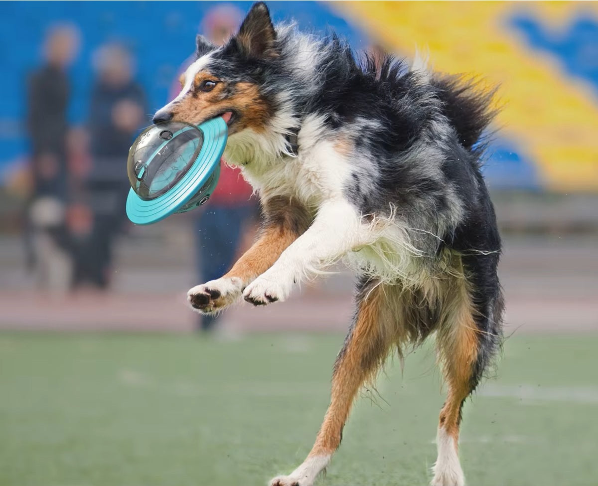 Interactive Dog Treat Dispenser – Food-Dispensing Slow Feeder Ball for Training, Playing, and Healthy Eating in Small to Large Dogs - Home Fads 