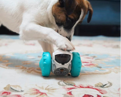 Interactive Treat Dispenser & Slow Feeder for Dogs and Cats – Puzzle Enrichment Toy - Home Fads 