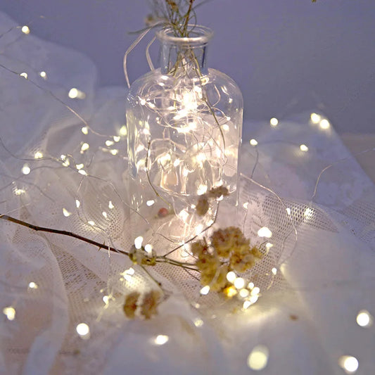 LED String Lights – USB/Battery Powered Copper/Silver Wire – Waterproof Fairy Lights for Holidays, Weddings & Parties (1M, 2M, 3M, 5M, 10M, 20M) - Home Fads 