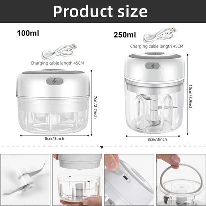 Professional Electric Mini Garlic Chopper & Food Processor - USB Rechargeable - Home Fads 