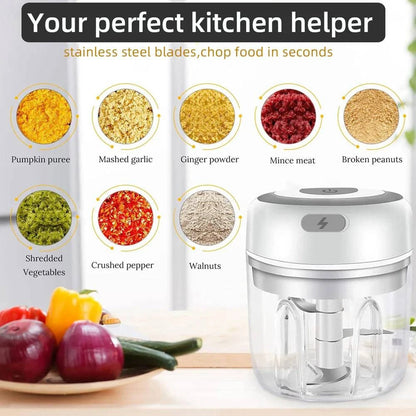 Professional Electric Mini Garlic Chopper & Food Processor - USB Rechargeable - Home Fads 