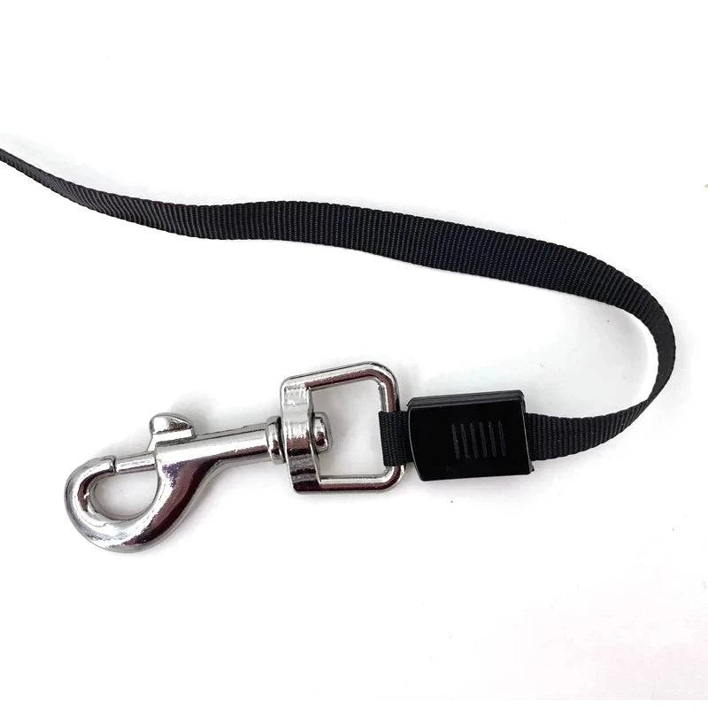 Retractable Dog Leash - Automatic Flexible Traction Rope for Small, Medium, and Large Dogs - Home Fads 