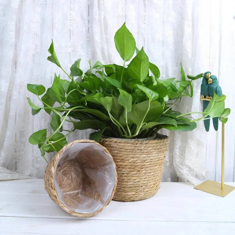 Rustic Artisan-Crafted Basket: Indoor and Outdoor Plant Potting, Laundry, or Multipurpose Organizer Storage Basket - Home Fads 
