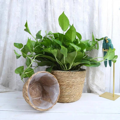 Rustic Artisan-Crafted Basket: Indoor and Outdoor Plant Potting, Laundry, or Multipurpose Organizer Storage Basket - Home Fads 