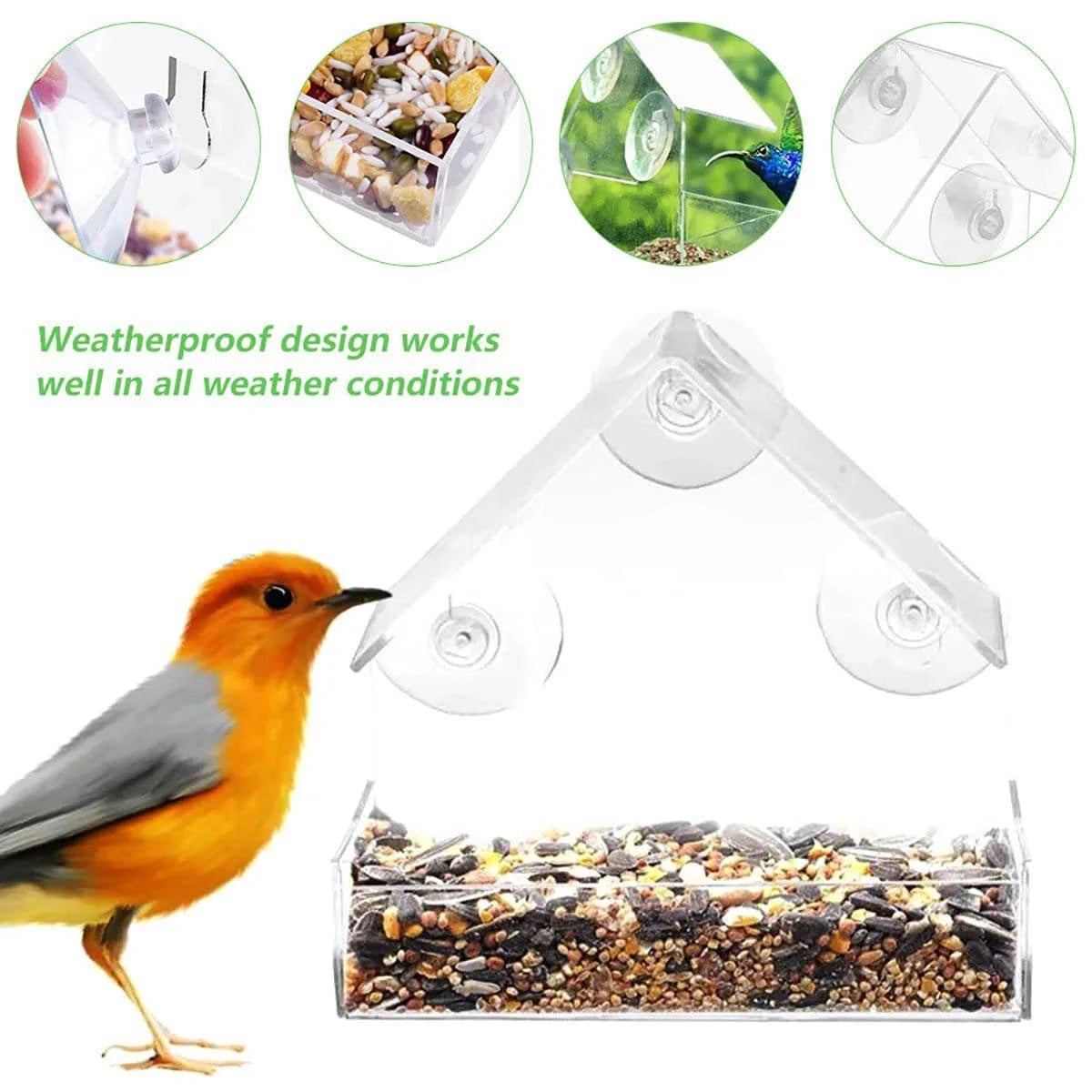 Elite Clear View Window Bird Feeder with Strong Adhesive Mounts - Home Fads