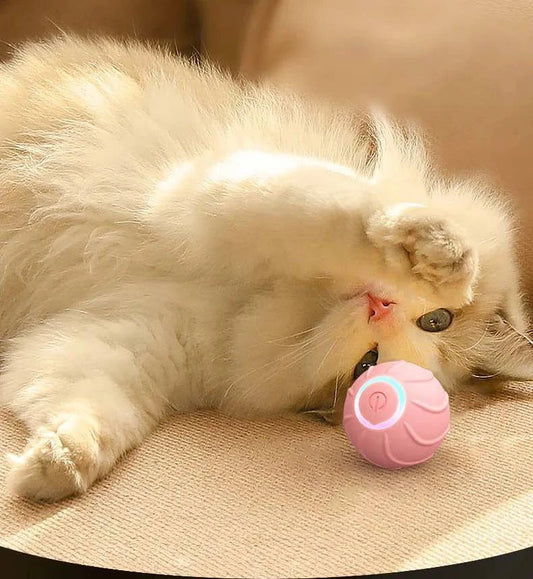 Smart Interactive Cat Toy: Automatic Bouncing Ball for Self Play with LED Lights and Sound Sensor - Rolling or Jumping Variants - Home Fads 