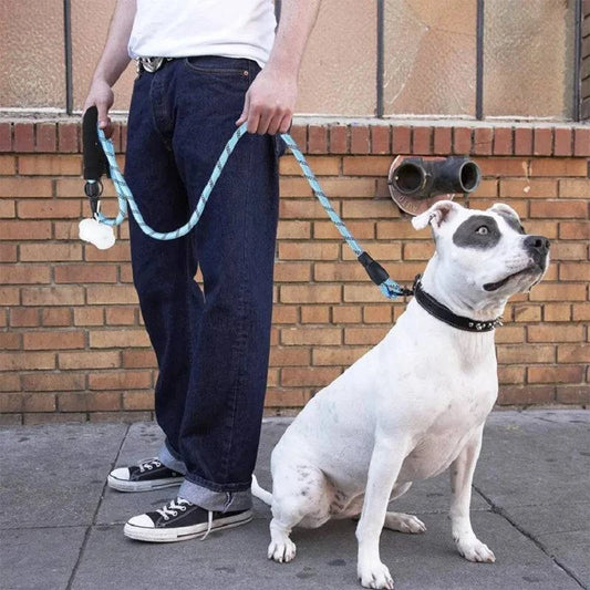 Stylish and Safe Dog Leashes with Soft Handle - Reinforced, quick release, and reflective Nylon Leash for Small, Medium, and Large Dogs - Home Fads 