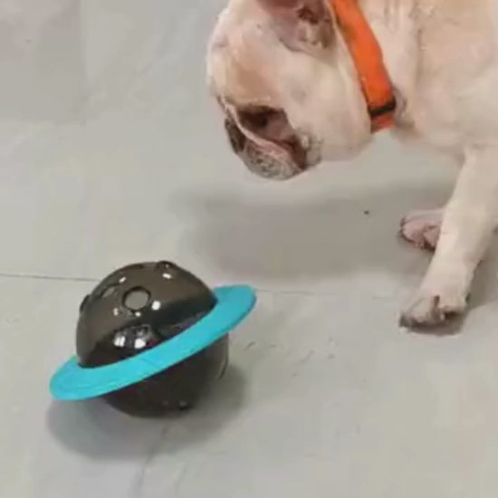 Interactive Dog Treat Dispenser – Food-Dispensing Slow Feeder Ball for Training, Playing, and Healthy Eating in Small to Large Dogs - Home Fads