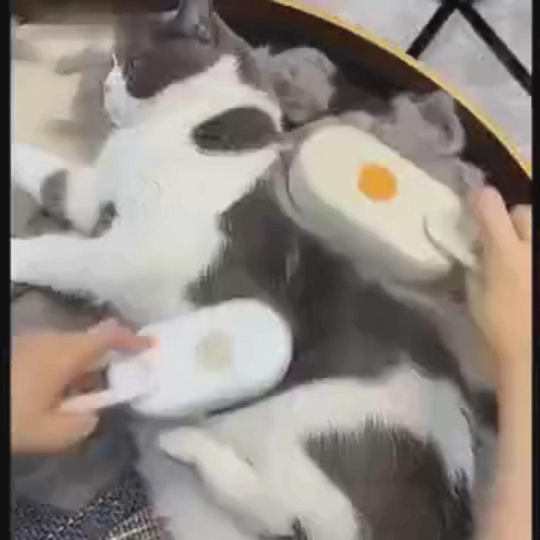 Rechargeable Electric Pet Grooming Brush with 360° Rotatable Foldable Handle, Steam, and Spray Function for Dogs and Cats - Home Fads