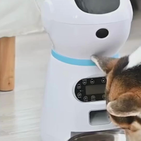 Smart Automatic Pet Feeder: Remote Control, LCD Display, Chargeable, Max 100g Dispensing (Key, WIFI, USB Options)  - Home Fads