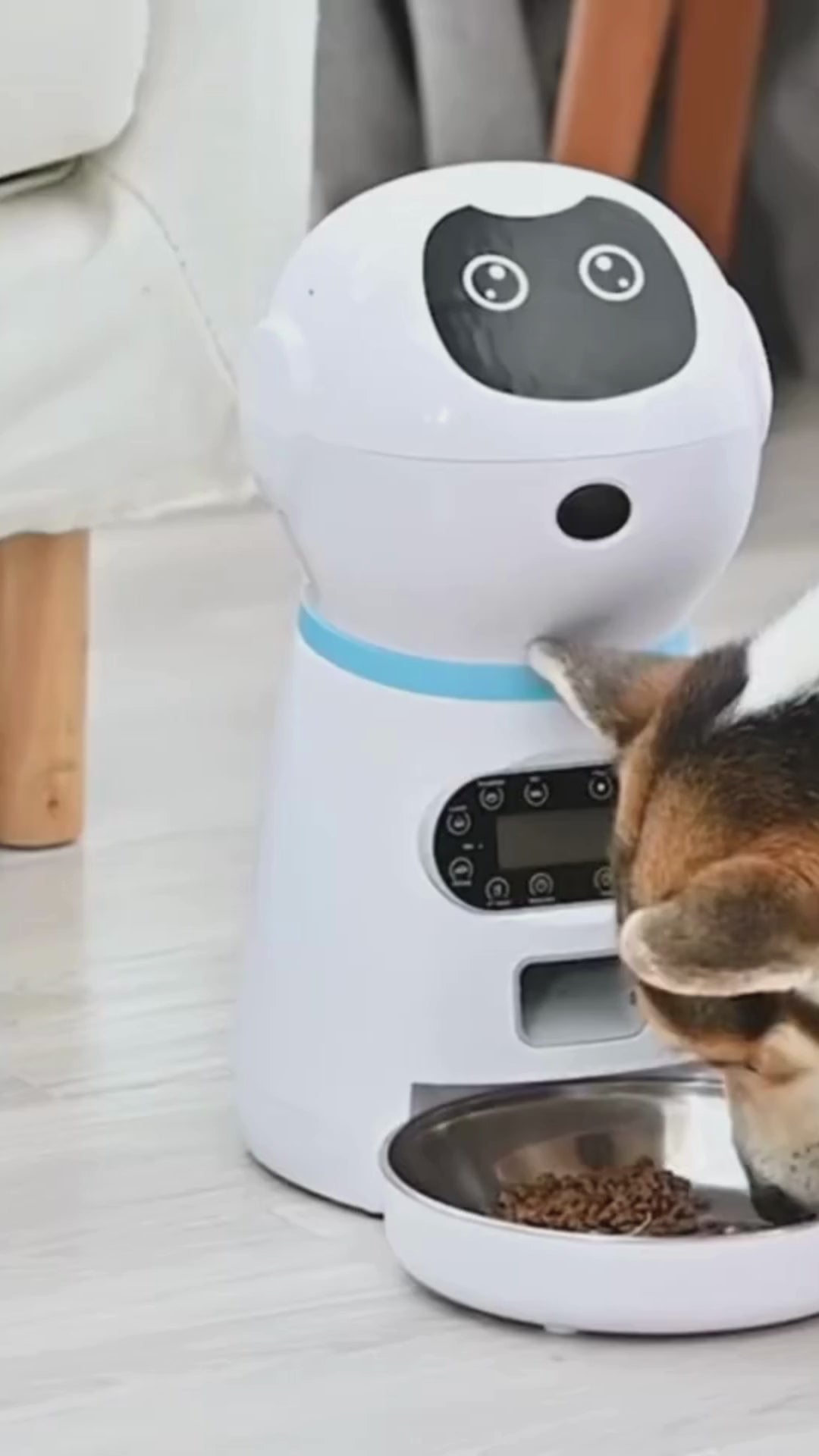 Smart Automatic Pet Feeder: Remote Control, LCD Display, Chargeable, Max 100g Dispensing (Key, WIFI, USB Options)  - Home Fads