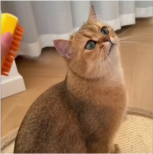 Electric Pet Grooming Massager Brush: Versatile 3-in-1 Device with Steam and Spray Function for Dogs, Cats, and All Furry Pets - Home Fads