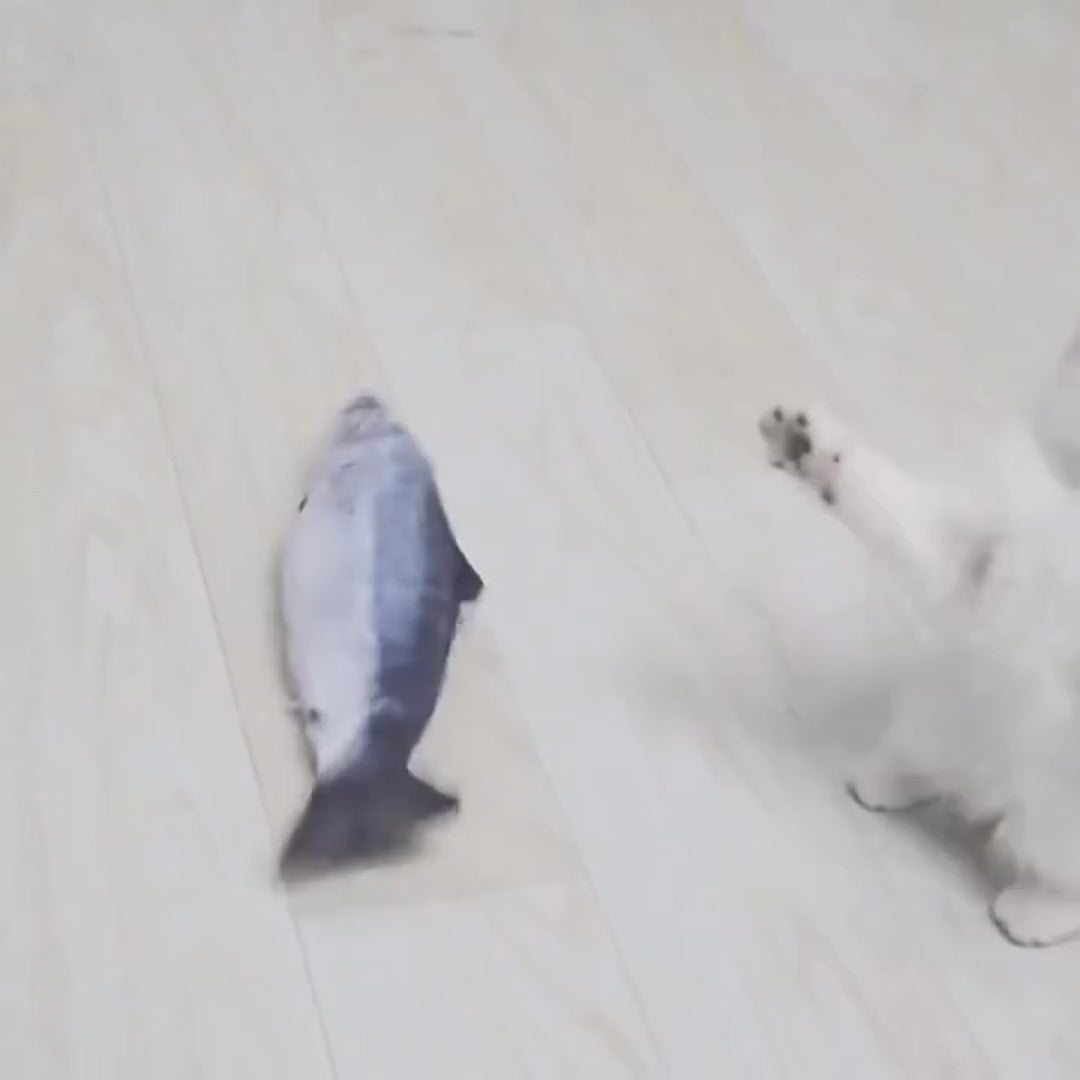Electric Floppy Fish Cat Toy with USB Charger | Interactive Realistic Pet Supplies for Cats and Dogs - Home Fads